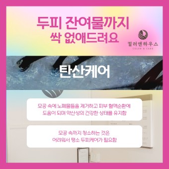 컬러하우스 이미지