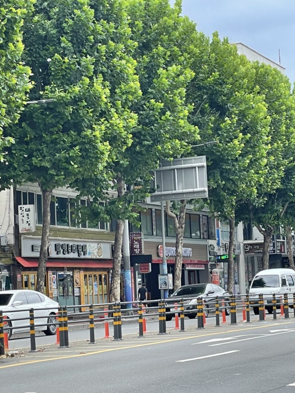 통통노래연습장 이미지