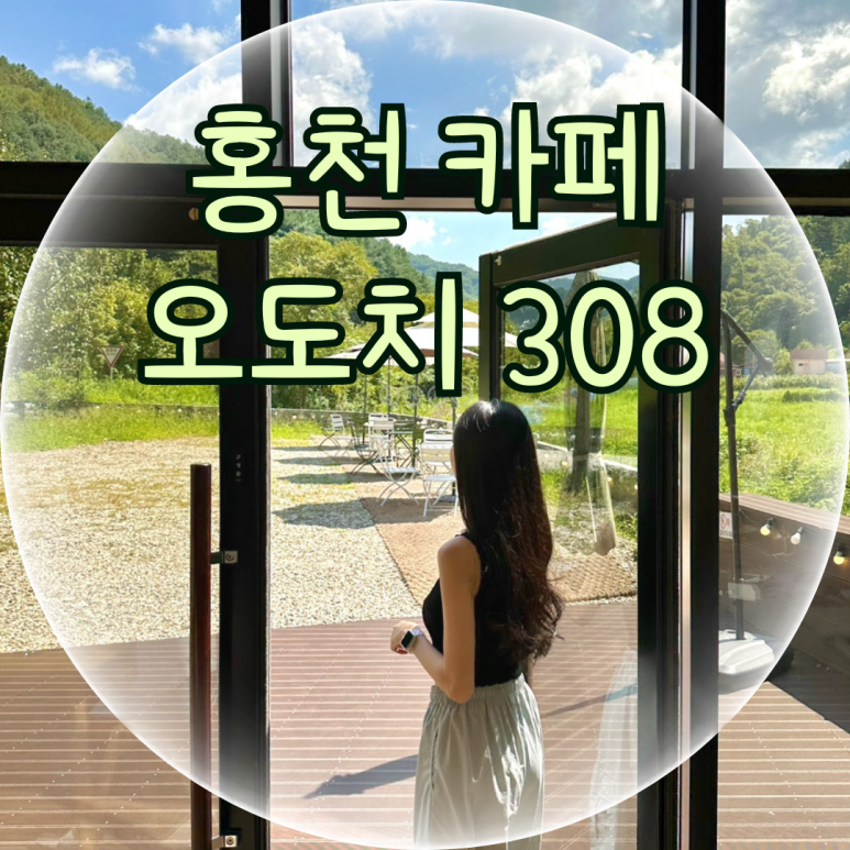오도치308 이미지