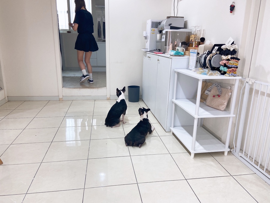 더모스트헤어 이미지