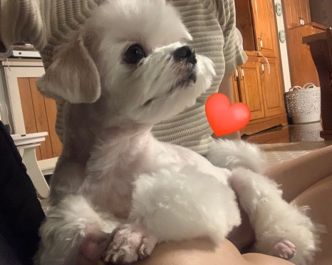아지트코인노래연습장 이미지