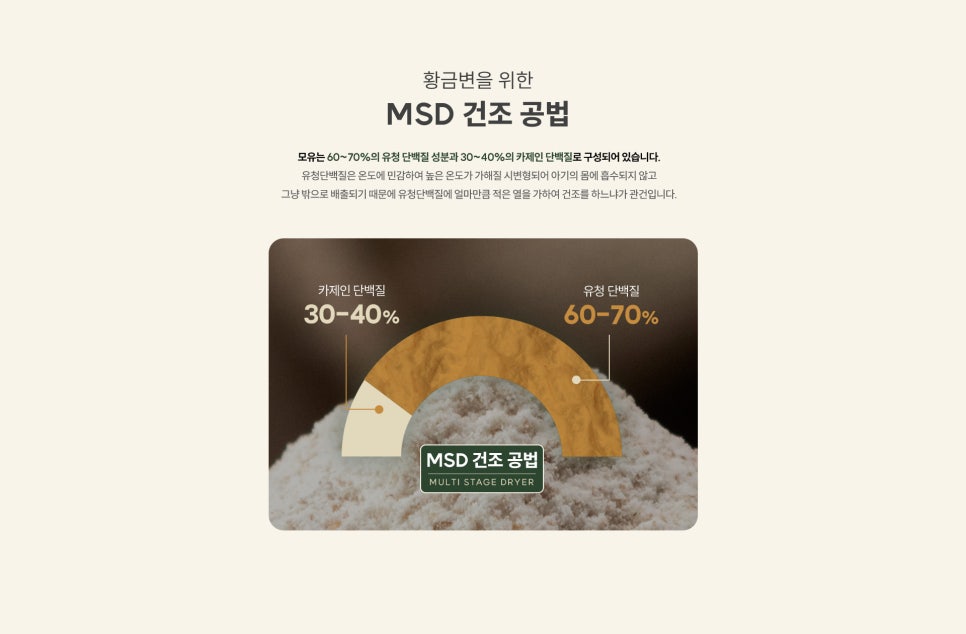 쏭스 이미지