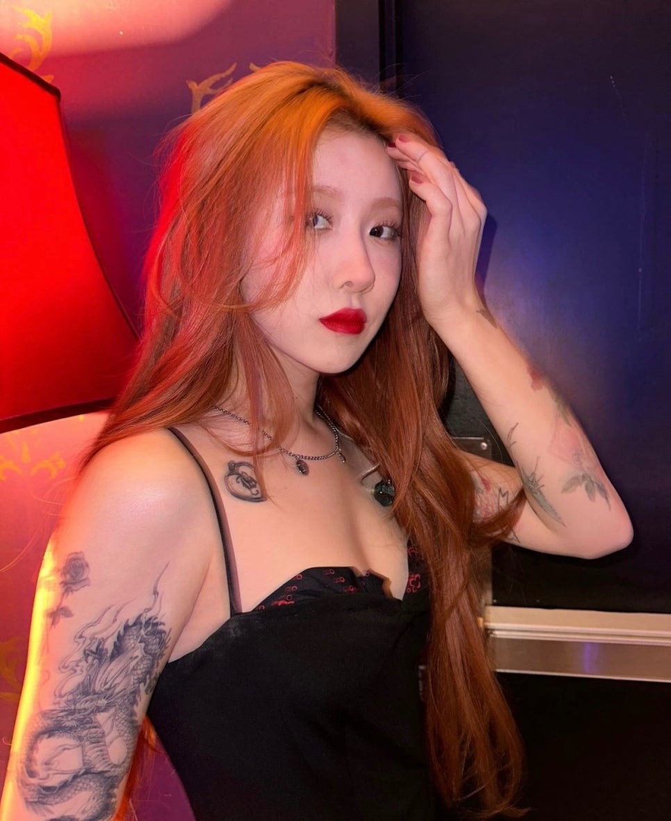 에드비 이미지