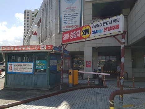 동성이용 이미지