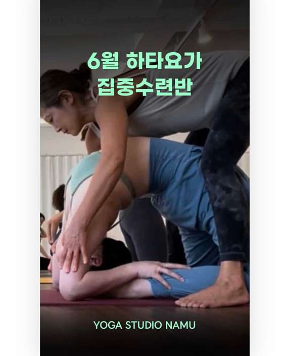 스튜디오나무 이미지