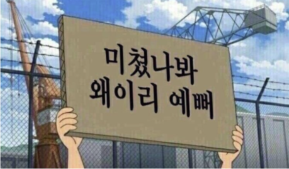 포토그레이 이미지