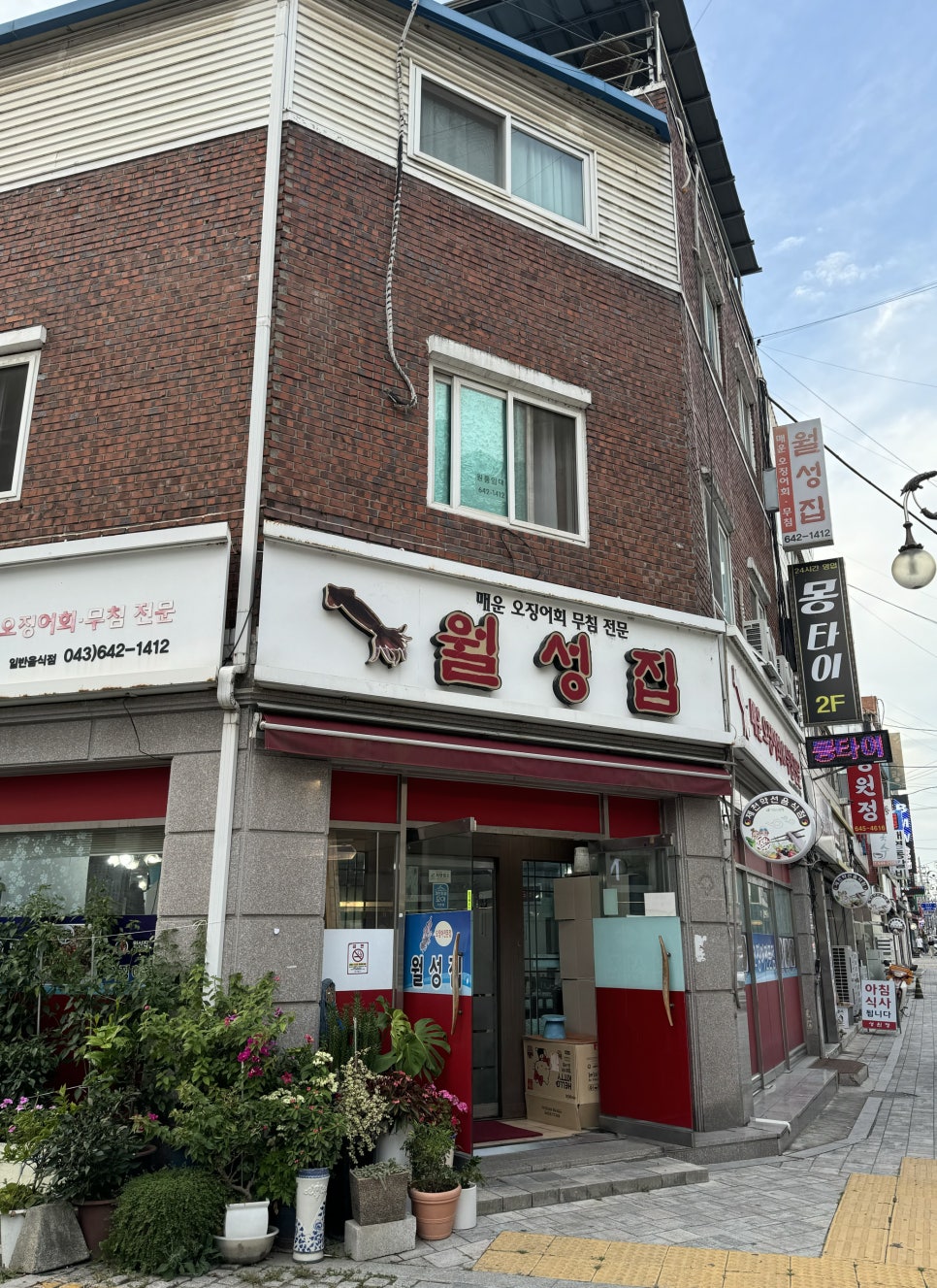 월성카 이미지