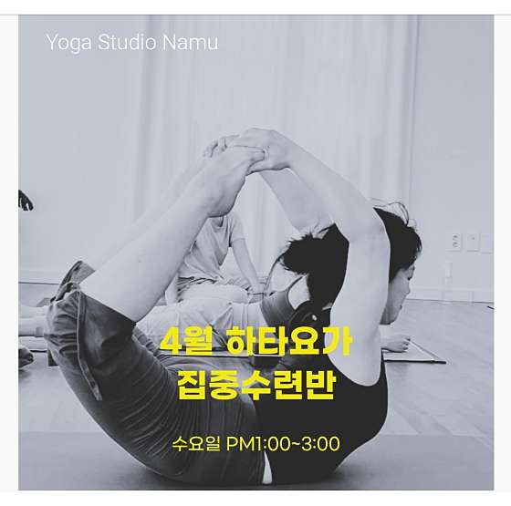 스튜디오나무 이미지