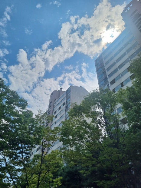 메종드헤어0403(명동점) 이미지