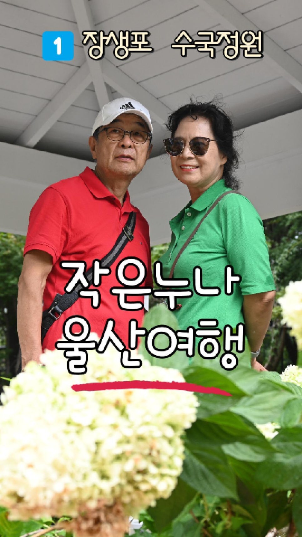 도연아불피아라 이미지