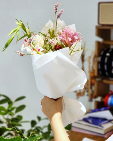 파니쿰 이미지