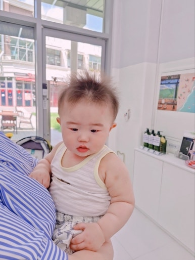 라벤더에쉬 이미지