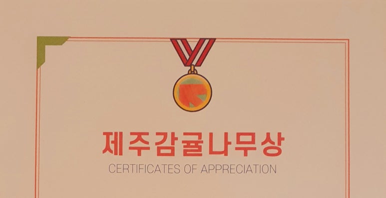 리본나무 이미지