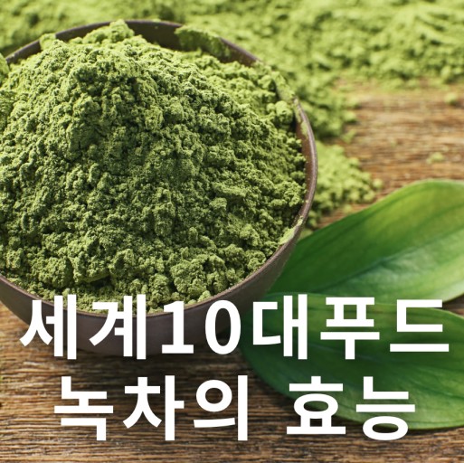 티그린 이미지