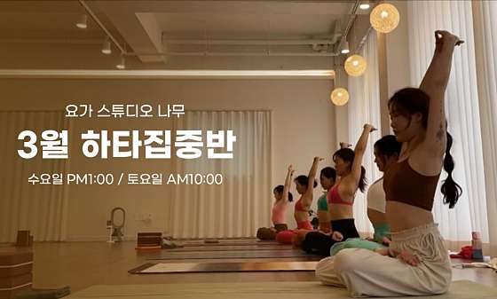 스튜디오나무 이미지
