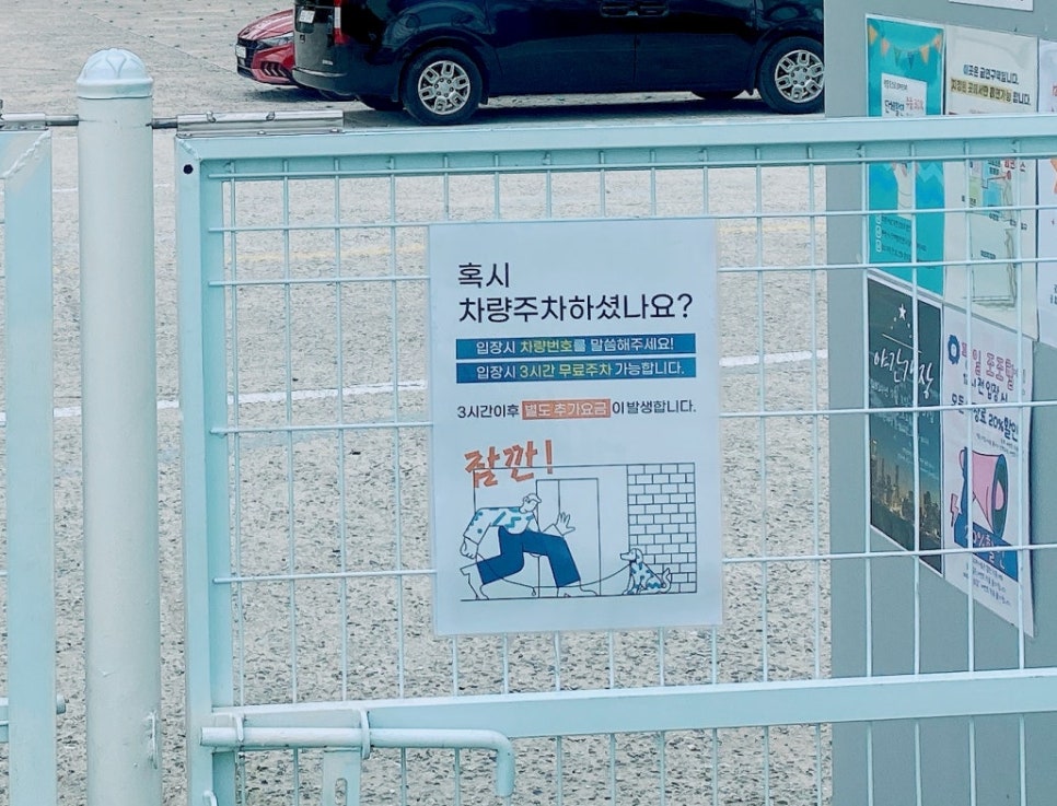 부천 강아지 수영장 렛츠플레이독 웅진플레이도시점 이용 후기 — 사진 5