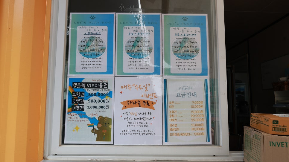 부천 강아지 수영장 렛츠플레이독 웅진플레이도시점 이용 후기 — 사진 6