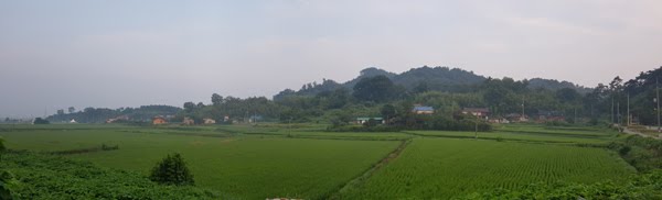 서린치과 이미지
