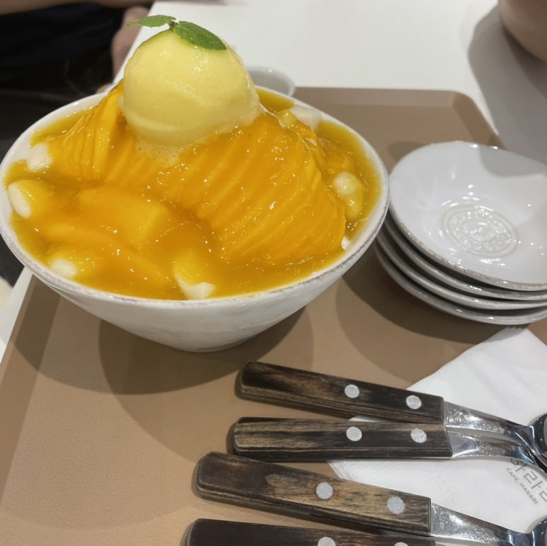 카페;하라리 이미지