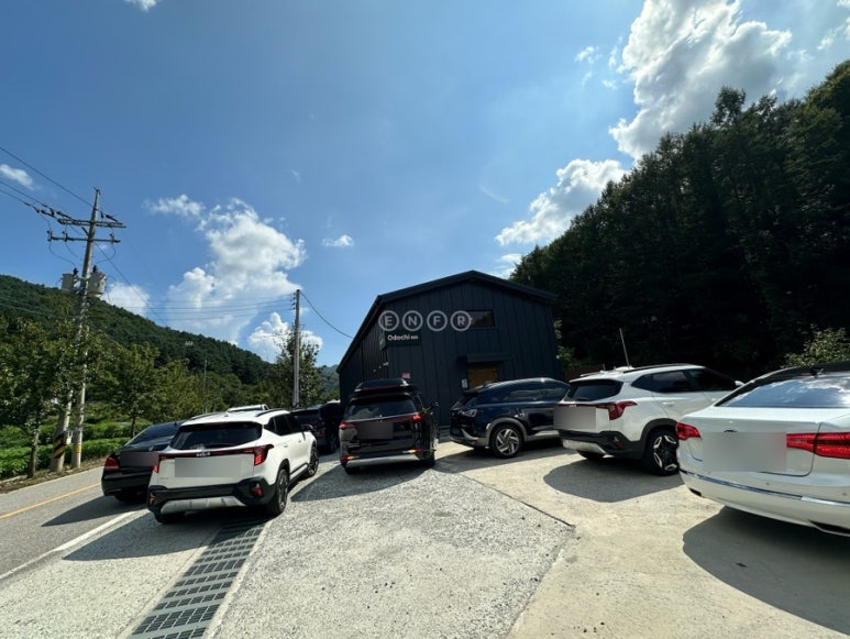 오도치308 이미지