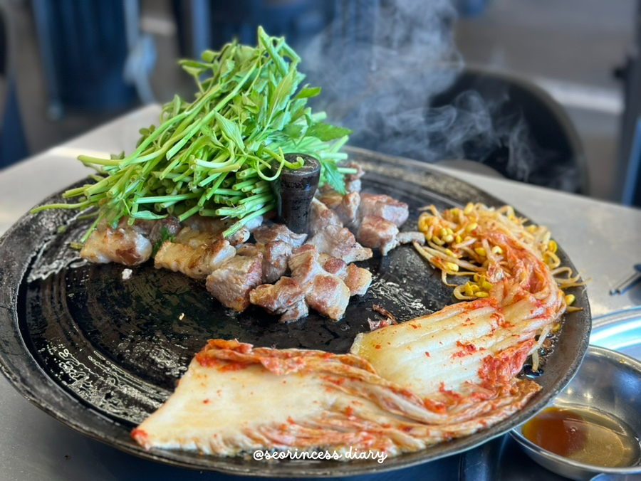 술마실고양 이미지