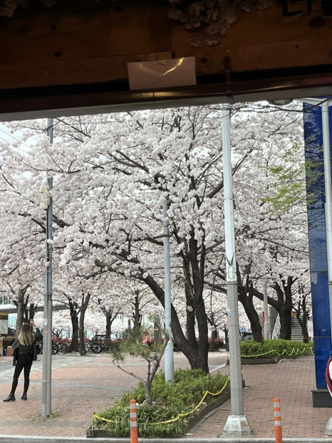 대창횟집 이미지