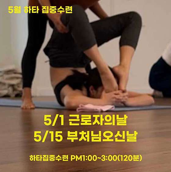 스튜디오나무 이미지