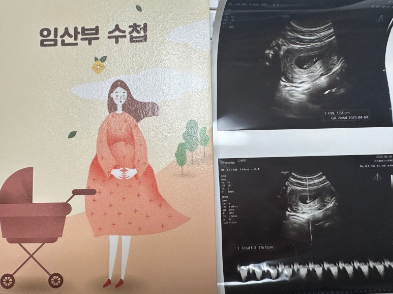 내포산부인과 이미지