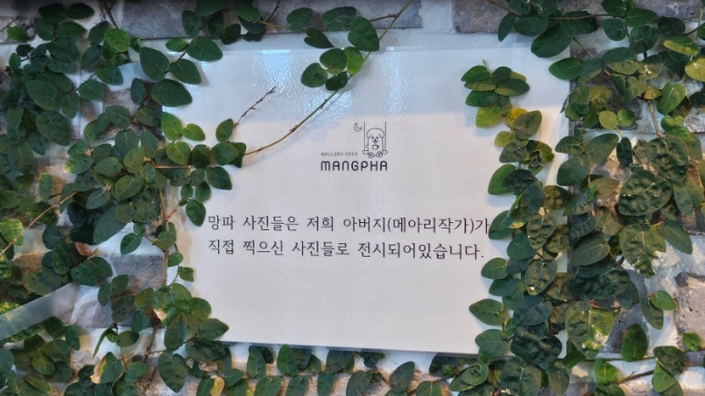 망파카페 이미지