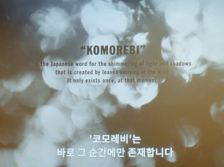 코모레비 이미지