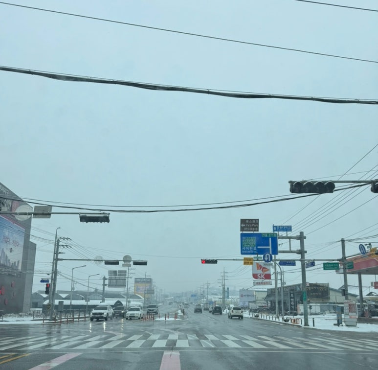 정원피아 이미지