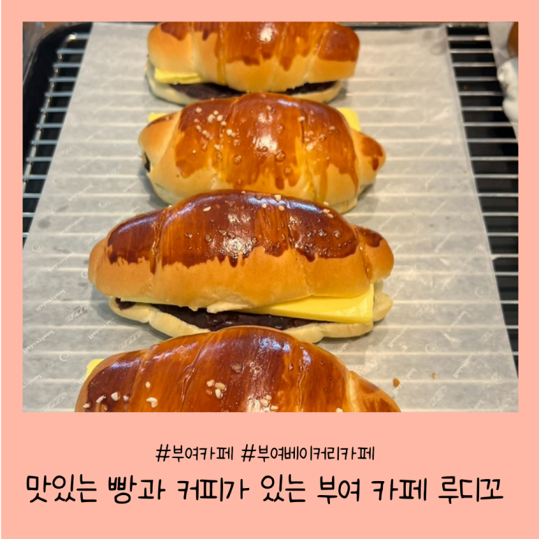 루디꼬 이미지