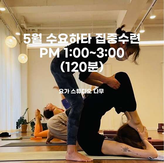스튜디오나무 이미지