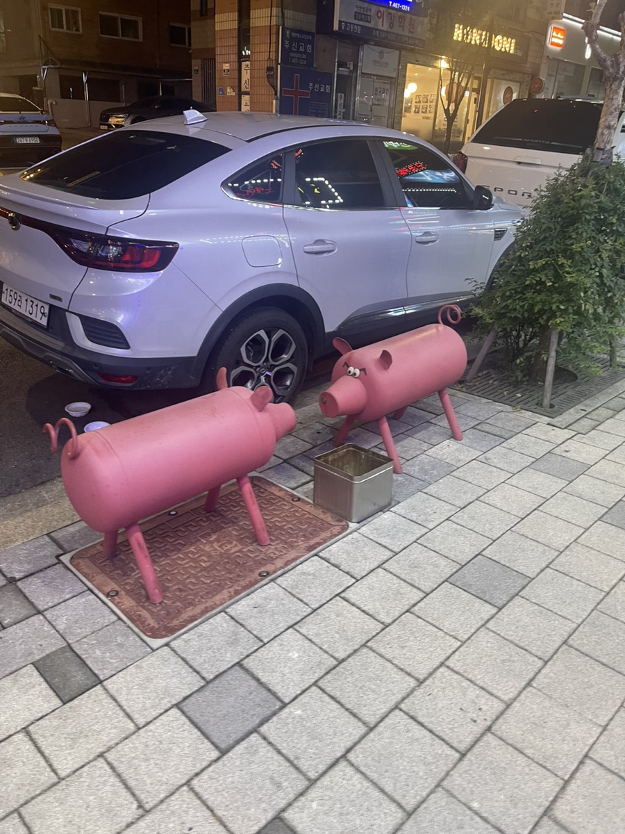 돈부꾸 이미지
