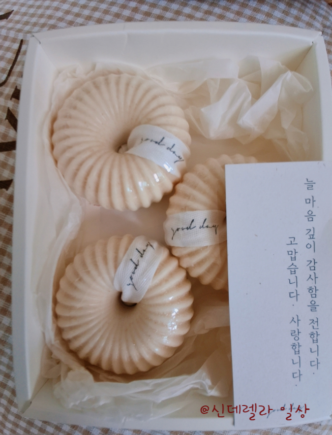 굿데이솝 이미지