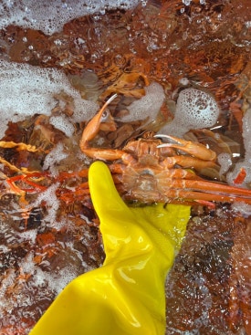 준수산 이미지