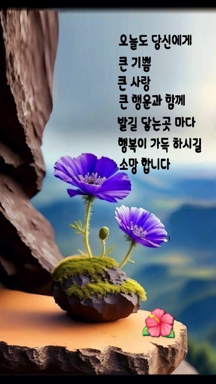 엉뚱식당 이미지
