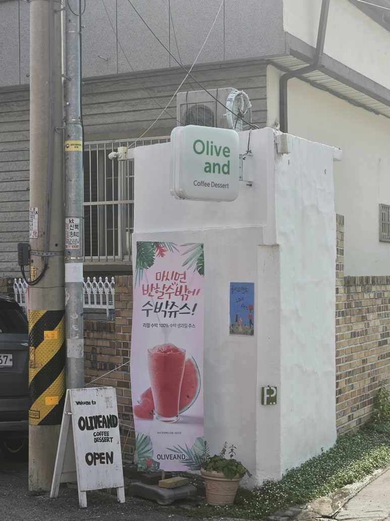 올리브앤드 이미지