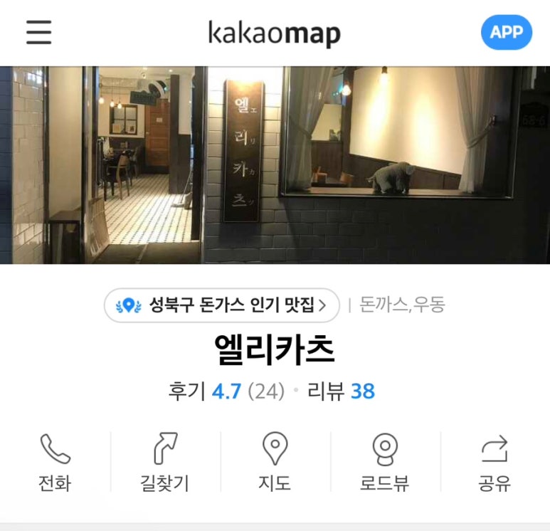 엘리카츠 이미지