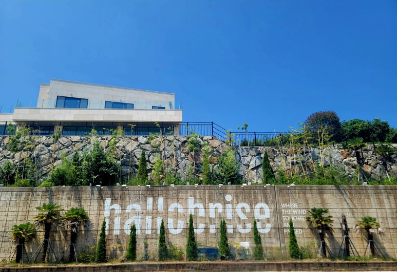할로브리즈 이미지