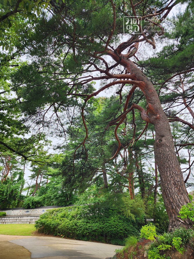 참소리음향 이미지