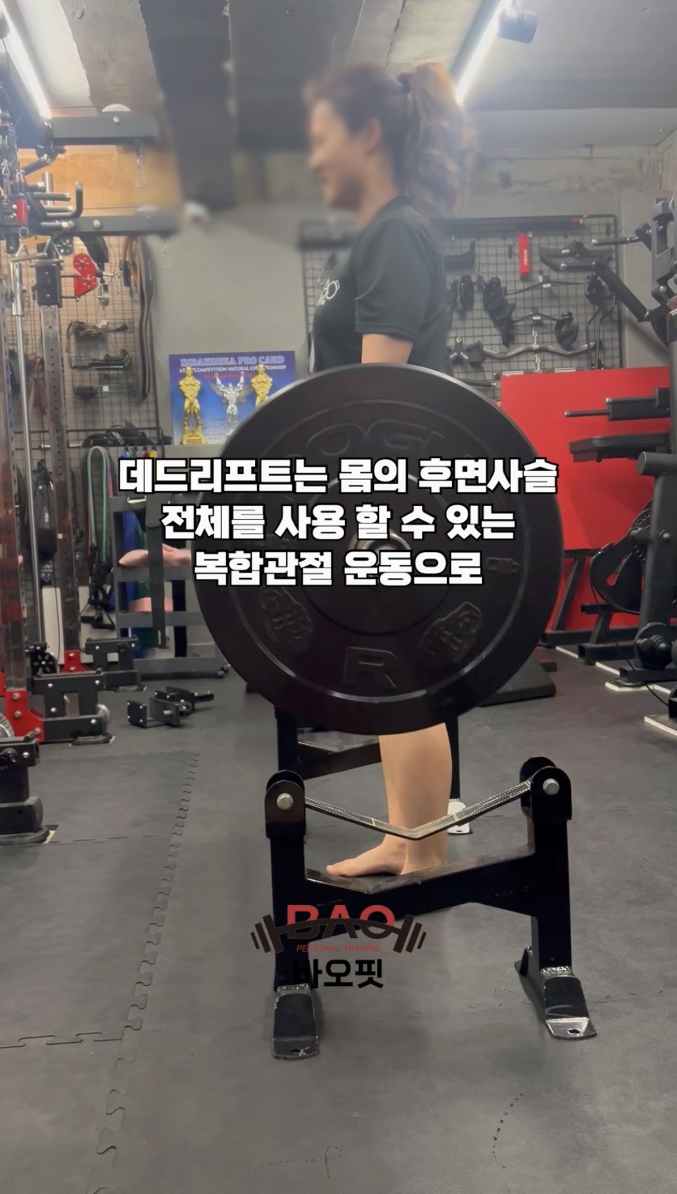바오핏가락문정 이미지