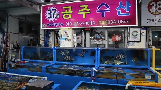 전용수산 이미지