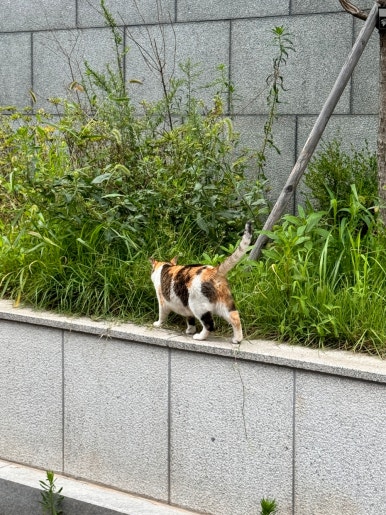 이마트24 서대문연희점 이미지