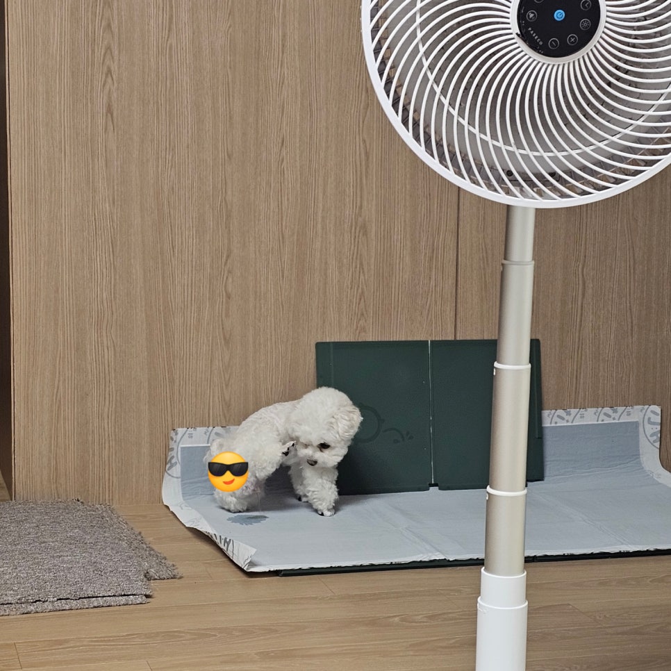 백세견생 이미지