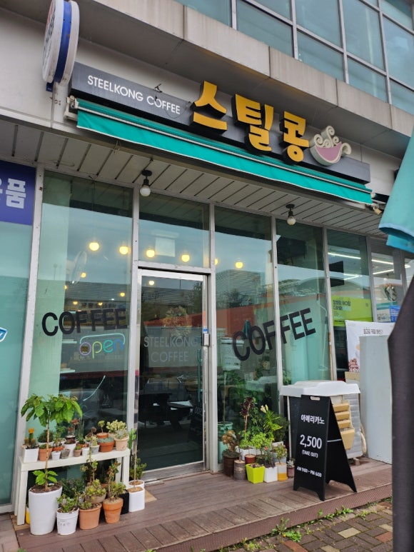 스틸콩 이미지