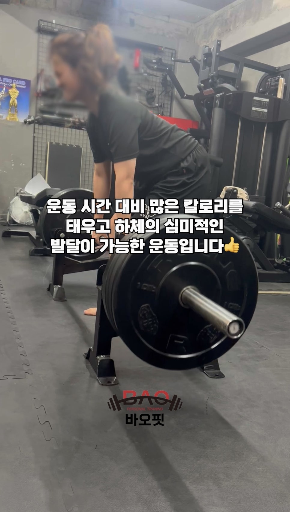 바오핏가락문정 이미지