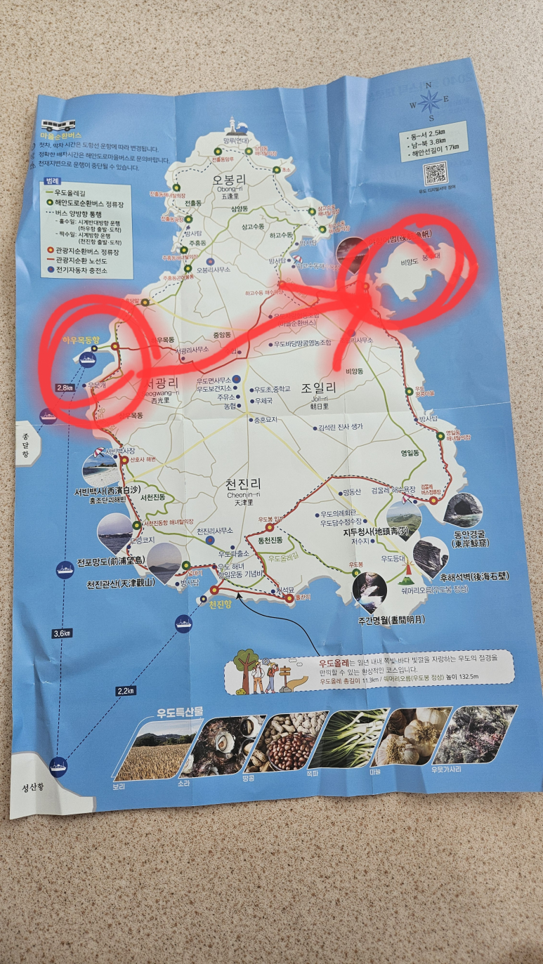 우도해녀922 이미지
