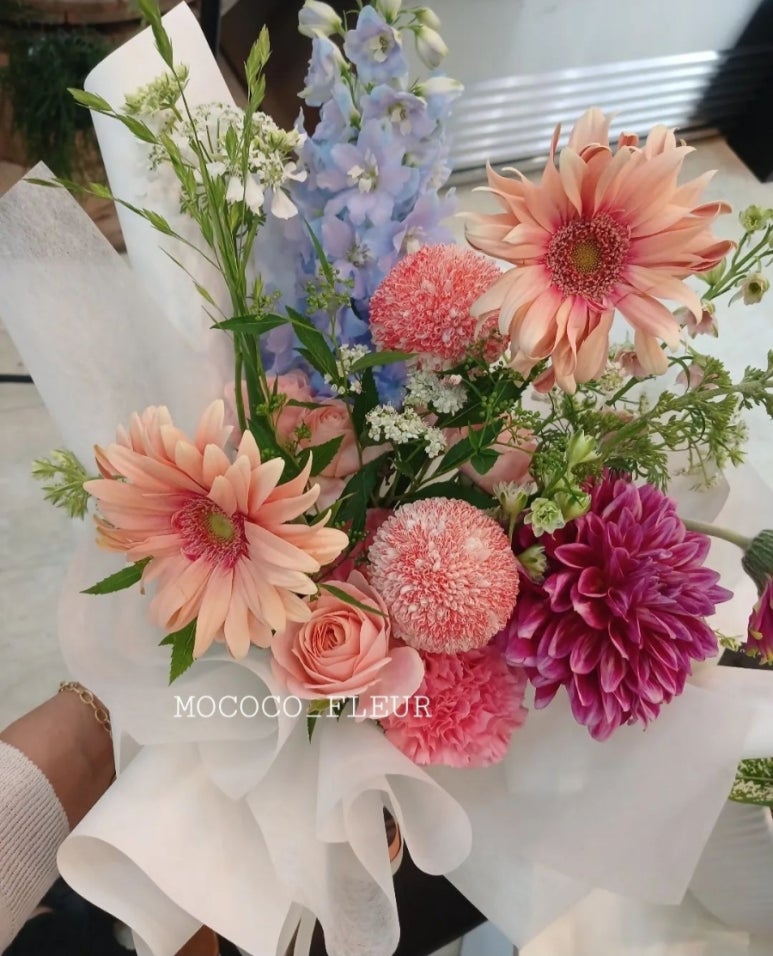 모코코플레르 이미지