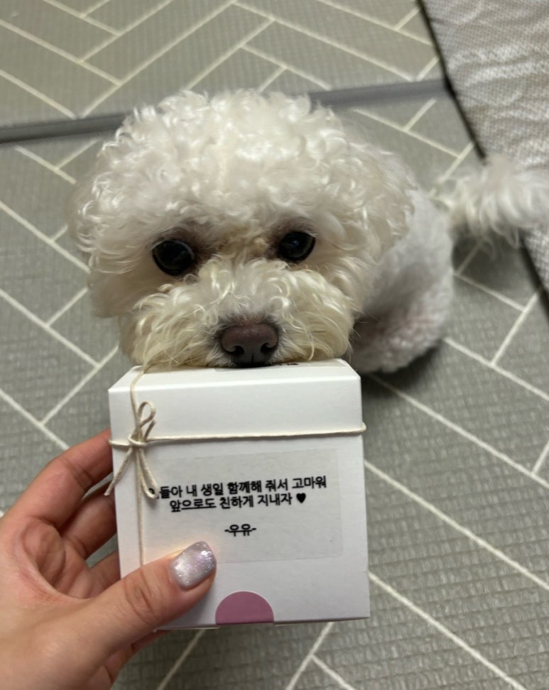 오꼬미 이미지